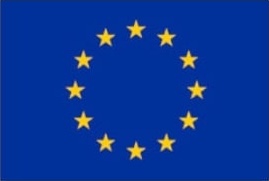UE flag