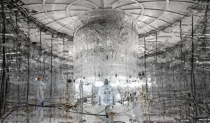 Inside the GERDA Experiment