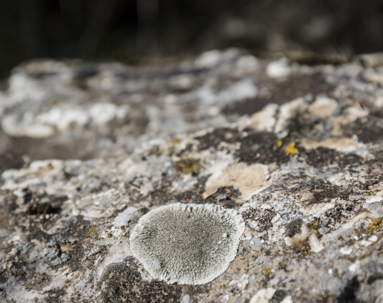 CORSAIR preview image