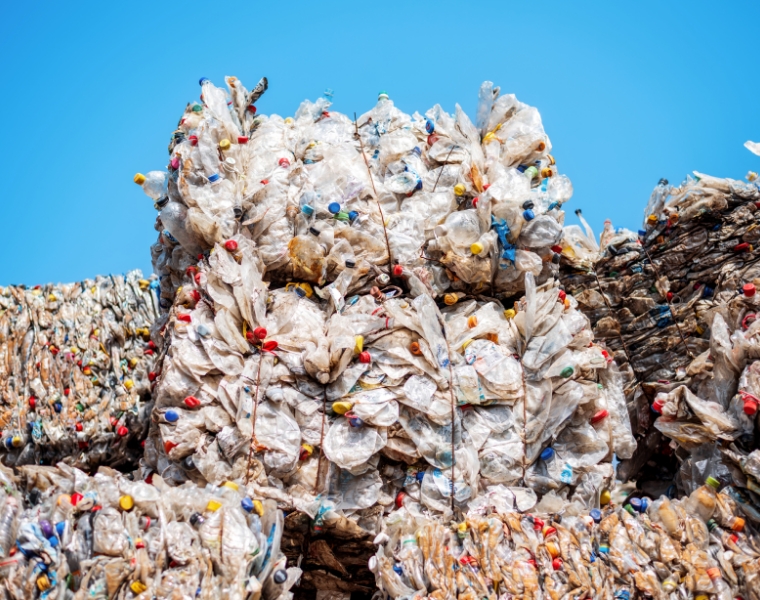 HARPERS preview image