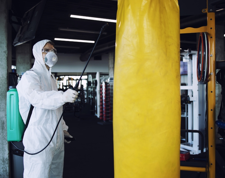 MICADO preview image